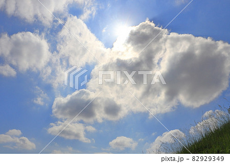 雲と青空と太陽と草 82929349