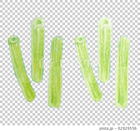 用水彩繪製的款冬插圖 82929556