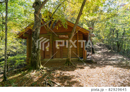 三頭山のムシカリ峠付近の避難小屋(都民の森) 三頭山のムシカリ峠付近の避難小屋(都民の森) 82929645