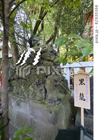 田無神社 黒龍神 田無神社 黒龍神 82930366