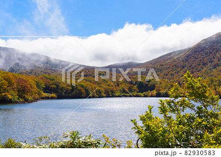 朝霧の須川湖畔 82930583