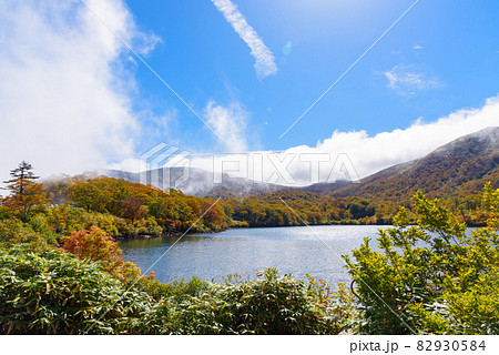 朝霧の須川湖畔 朝霧の須川湖畔 82930584