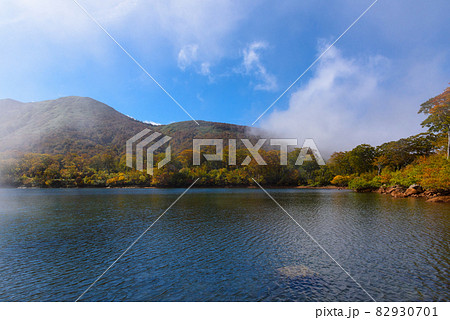 朝霧の須川湖 朝霧の須川湖 82930701