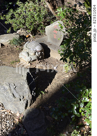 田無神社 龍神池 田無神社 龍神池 82931064