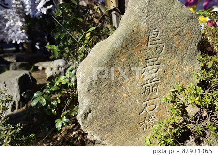 田無神社　龍神池　鳥居前石橋 82931065