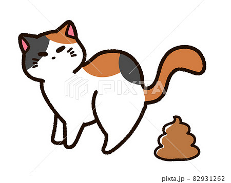 うんちをする三毛猫 うんちをする三毛猫 82931262