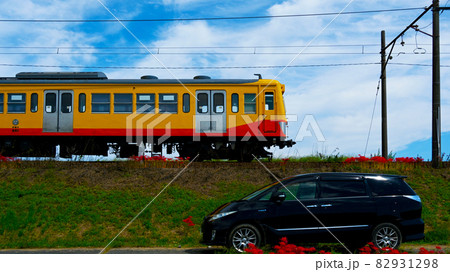 赤く咲いたヒガンバナと黄色い電車の三岐鉄道 赤く咲いたヒガンバナと黄色い電車の三岐鉄道 82931298