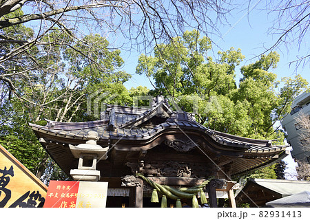 田無神社 拝殿 田無神社 拝殿 82931413