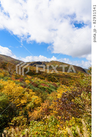 栗駒山　登山 82931541