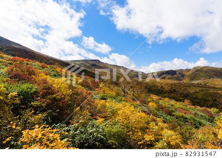 栗駒山　登山 82931547