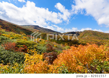 栗駒山　登山 82931557