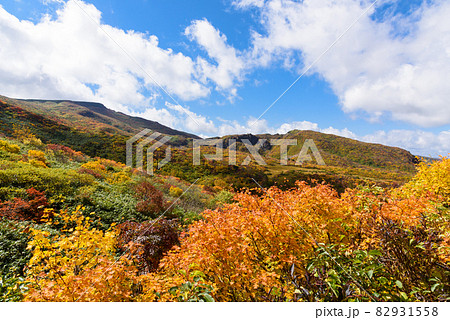 栗駒山　登山 82931558