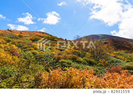 栗駒山　登山 82931559