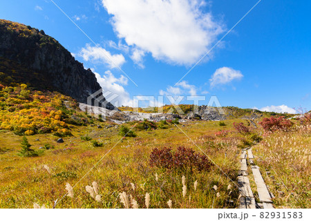 栗駒山　登山 82931583