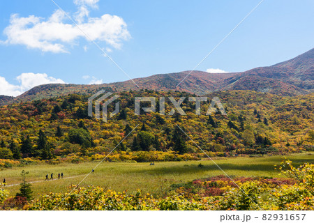栗駒山　登山 82931657
