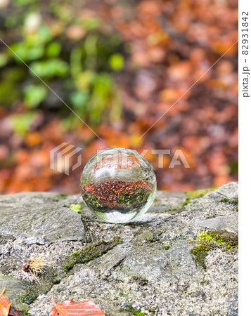 Colourful autumn outdoor nature landscape scene with lens ball. Colourful autumn outdoor nature landscape scene with lens ball. 82931842