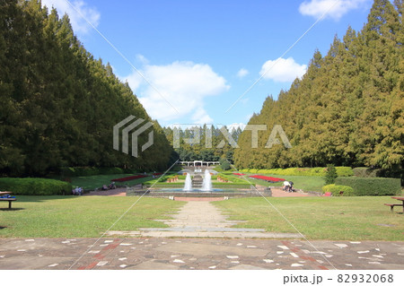 初秋の相模原公園 初秋の相模原公園 82932068
