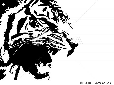 芸術的な虎の顔のイラストのイラスト素材