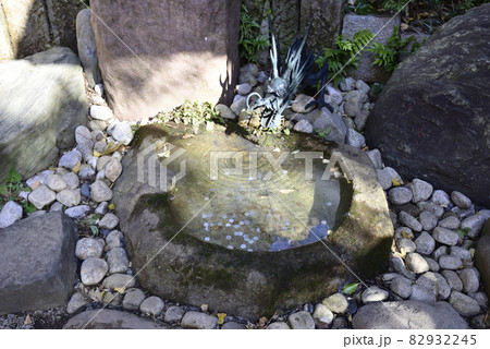 田無神社 青龍神池 田無神社 青龍神池 82932245