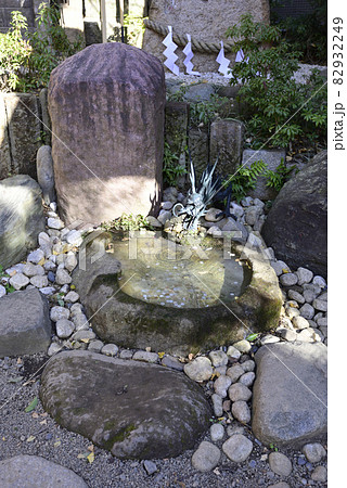 田無神社　青龍神池 82932249