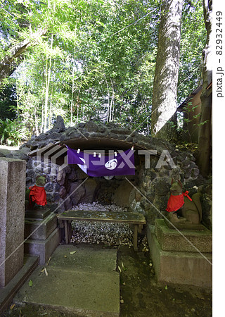 田無神社 狐の祠(狐の住処) 田無神社 狐の祠(狐の住処) 82932449