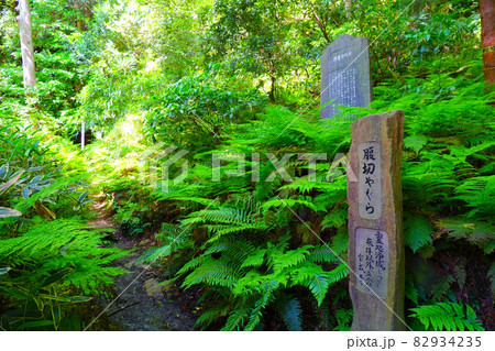 鎌倉幕府滅亡の地、北条高時 腹切りやぐら 82934235