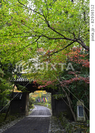 赤山禅院　山門の紅葉 82936512