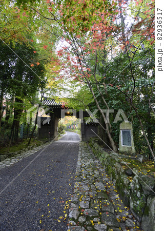赤山禅院　山門の紅葉 82936517