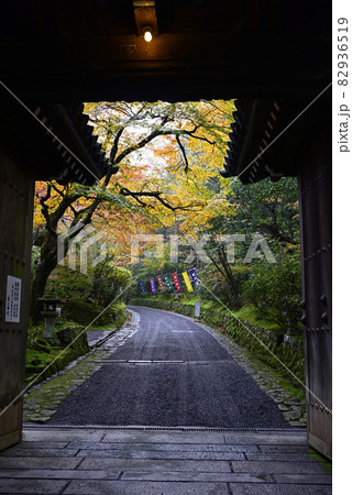 赤山禅院 山門の紅葉の写真素材