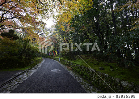 赤山禅院 紅葉の写真素材