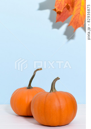 Two ripe pumpkins on a blue background with maple leaves.  82936875