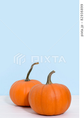 Two ripe pumpkins on a blue background with copy space. 82936899