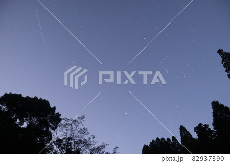 森と流れ星 82937390