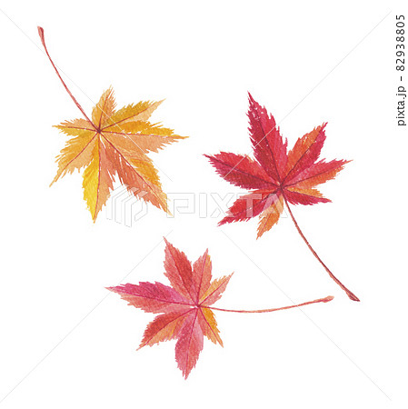 紅葉 3枚のイラスト素材 9305