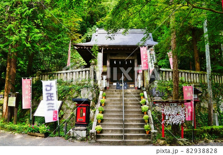 栃木県　佐野市　出流原弁天池　涌釜神社 82938828