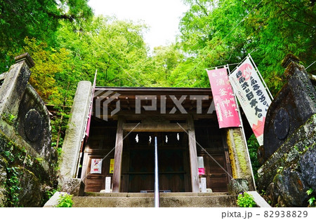 栃木県　佐野市　出流原弁天池　涌釜神社 82938829