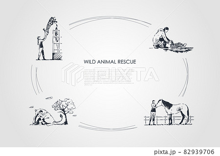 Wild animals rescue - people taking care of giraffe, horse, kangaroo, turtle vector concept set 82939706