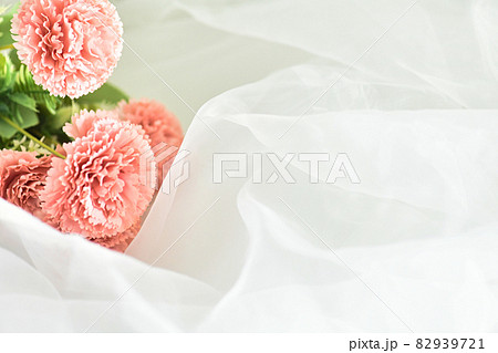 Pink carnation background 82939721