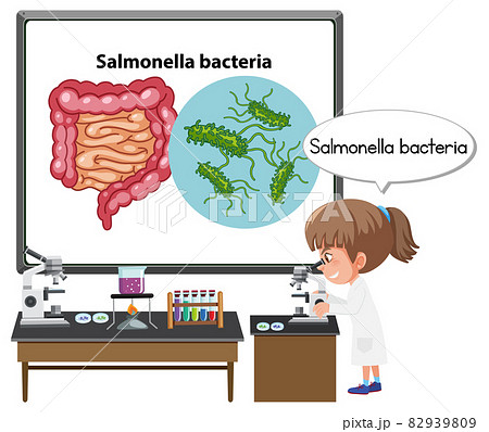 Young doctor explaining salmonella bacteria 82939809