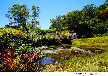 妙高山 燕登山道 光善寺池 妙高山 燕登山道 光善寺池 82940207