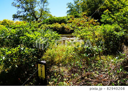 妙高山 燕登山道 光善寺池 妙高山 燕登山道 光善寺池 82940208
