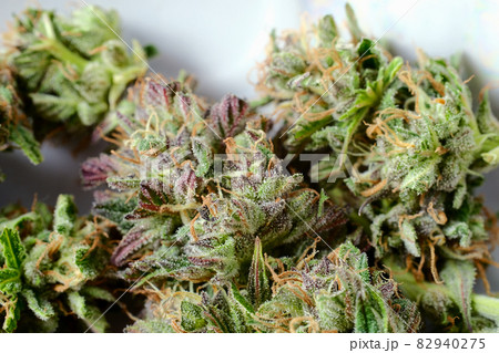 Fresh marijuana buds close-up. Cannabis flowers on white background 82940275