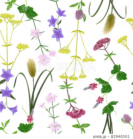Seamless Pattern with seven herbs of Seamless Pattern with seven herbs of 82940501
