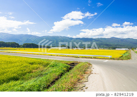 田舎の田園風景　原村 82941219