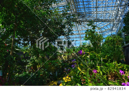 広島県 広島市植物公園の風景 広島県 広島市植物公園の風景 82941834