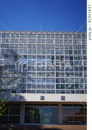 広島県 広島市植物公園 広島県 広島市植物公園 82941837