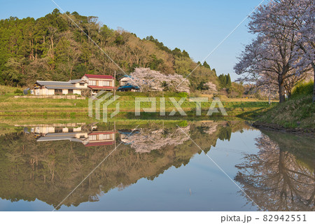 春の水田風景《いすみ市》 82942551