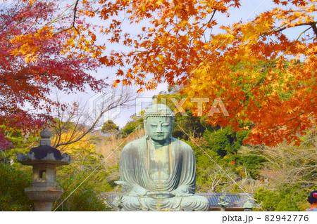 鎌倉大仏と紅葉 82942776