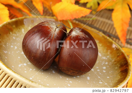 秋の旬の果物 愛媛産の利平栗2つと紅葉 秋の旬の果物 愛媛産の利平栗2つと紅葉 82942797