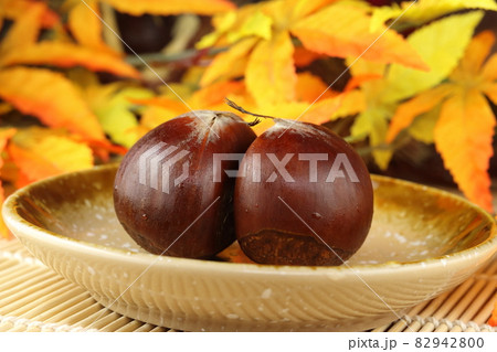 秋の旬の果物 愛媛産の利平栗2つと紅葉 82942800